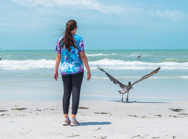 Seaside Seabird Sanctuary