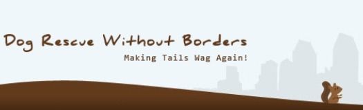 Dog Rescue without Borders