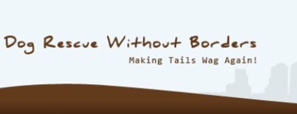 Dog Rescue without Borders