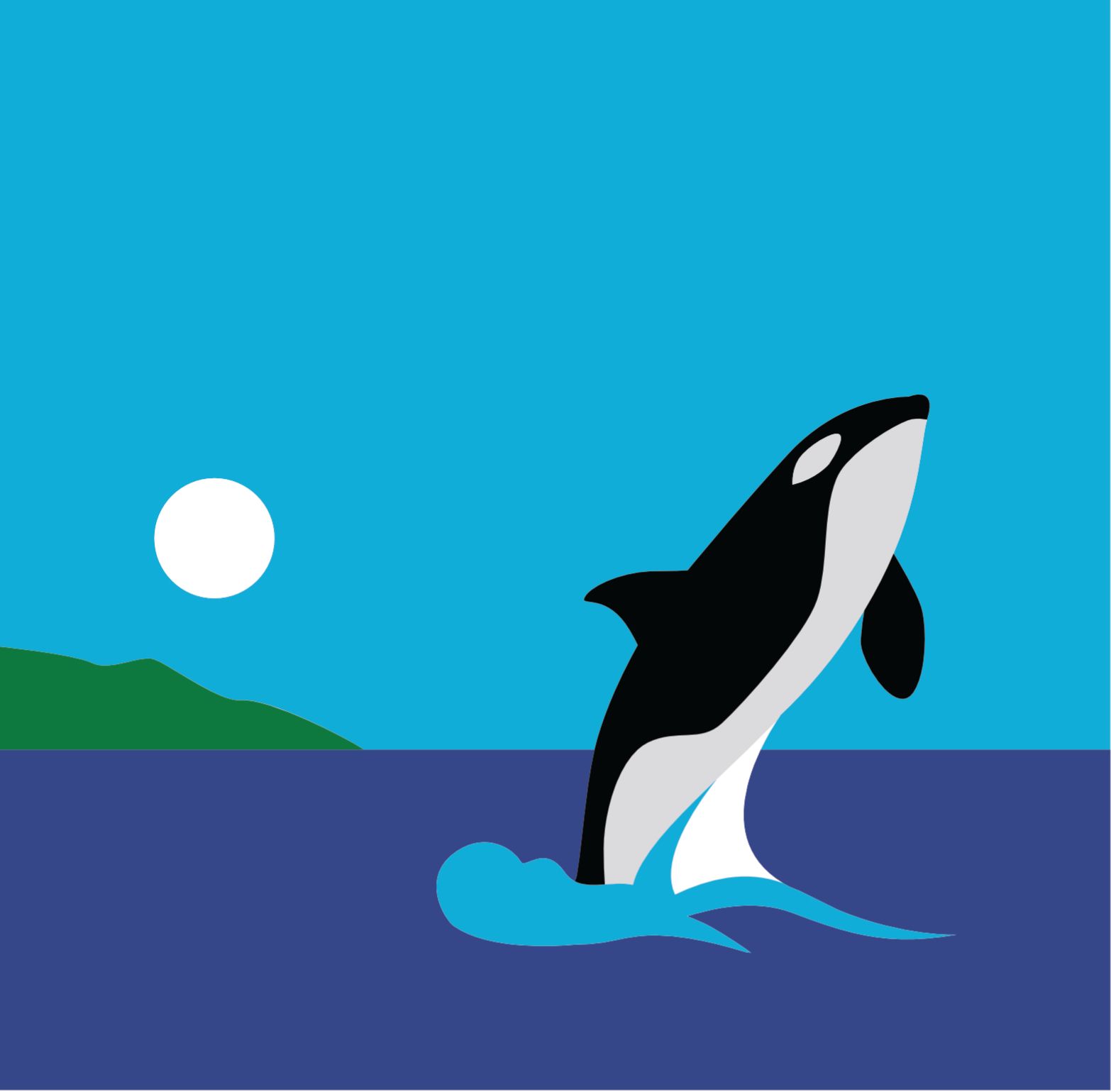 The Whale Sanctuary Project