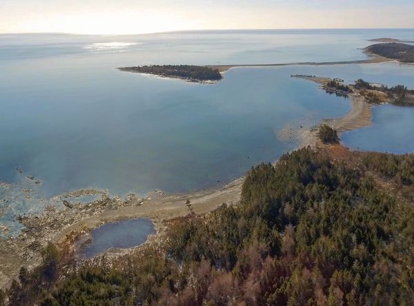 The Whale Sanctuary Project