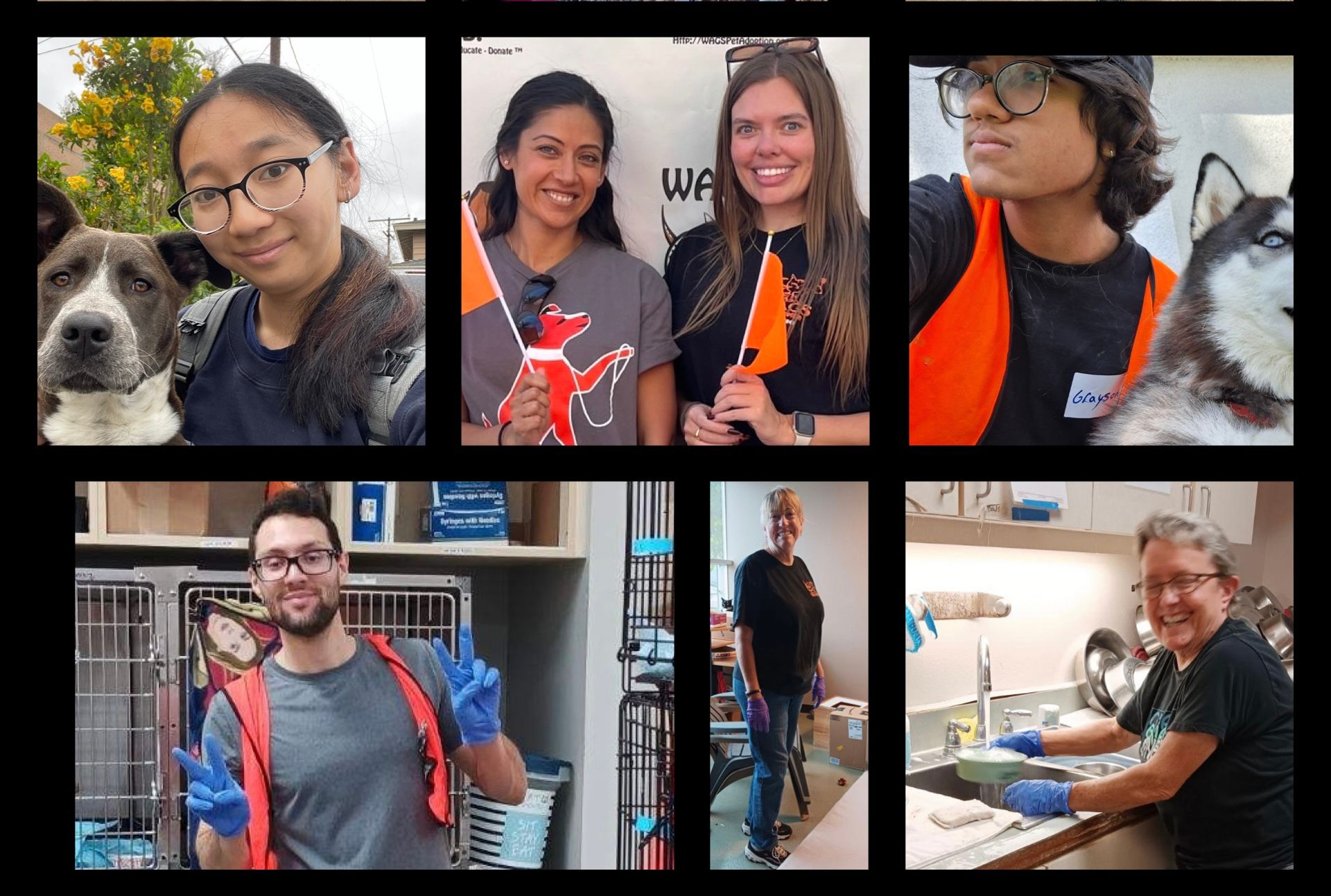 WAGS PET ADOPTION/WESTMINSTER ADOPTION GRP SERVICE