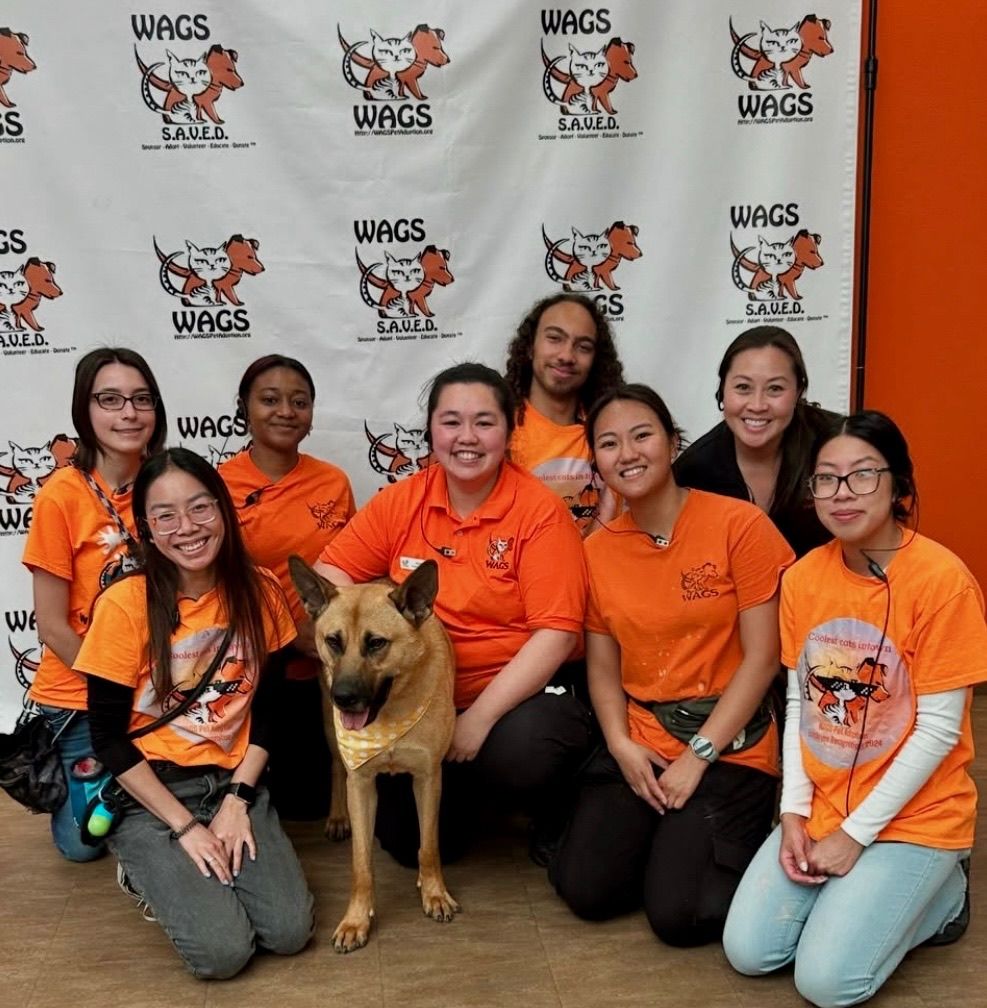 WAGS PET ADOPTION/WESTMINSTER ADOPTION GRP SERVICE