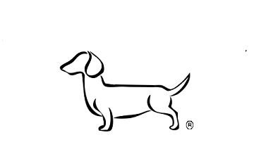 Dachshund Rescue Of Houston
