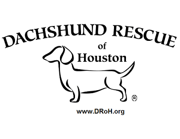 Dachshund Rescue Of Houston