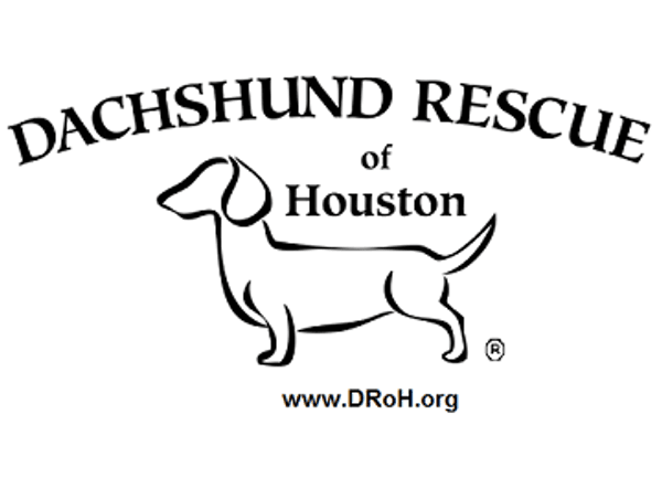 Dachshund Rescue Of Houston