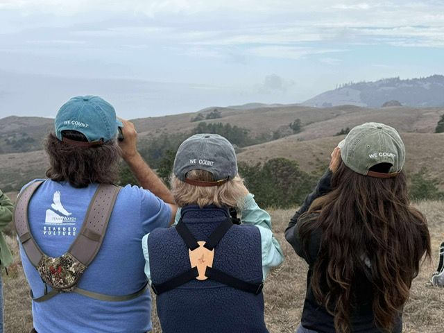 Hawk Migration Association