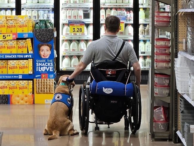 Mutts With A Mission