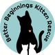 Better beginnings kitten rescue