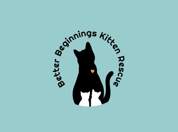 Better beginnings kitten rescue