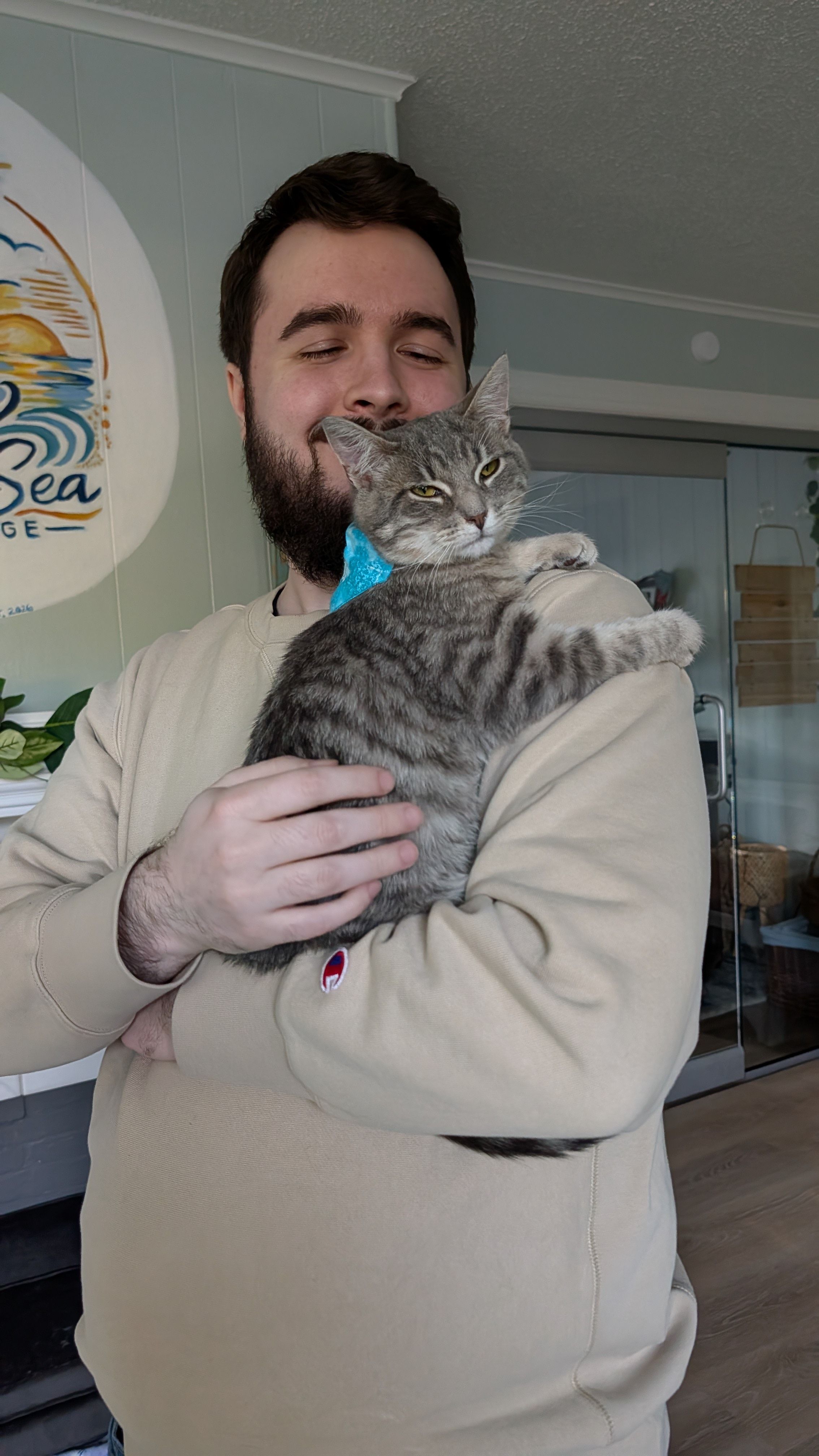 Katie Cats Rescue
