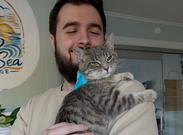 Katie Cats Rescue