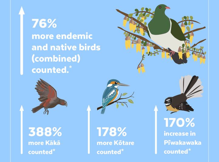Te Korowai o Waiheke
