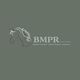 Bodmin Moorland Pony Rehabilitation