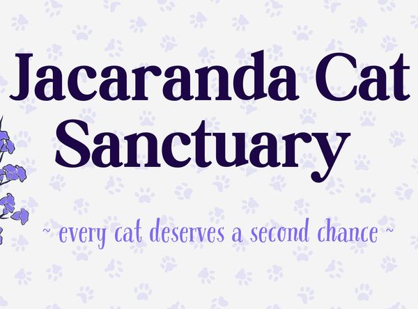 Jacaranda cat sanctuary ltd
