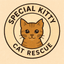 Special Kitty Cat Rescue