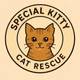 Special Kitty Cat Rescue