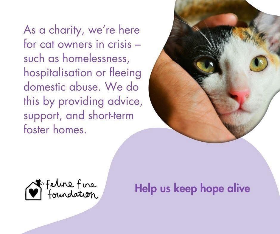 Feline Fine Foundation