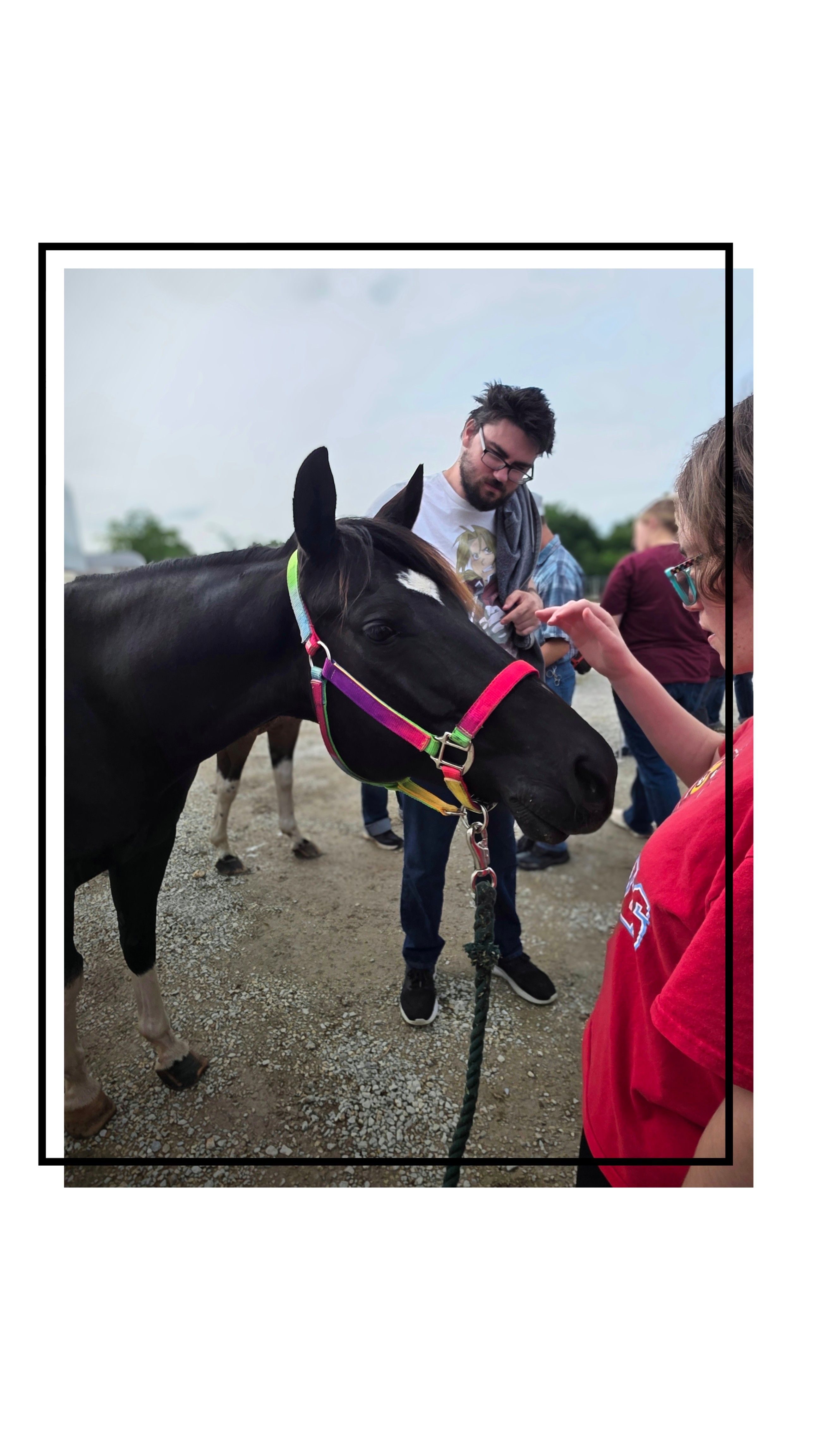 Angel wings equine rescue