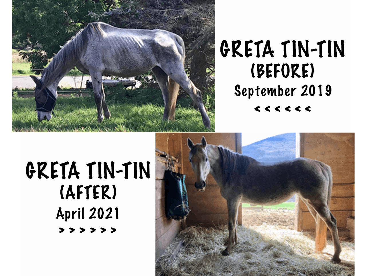 Rosemary Farm Sanctuary