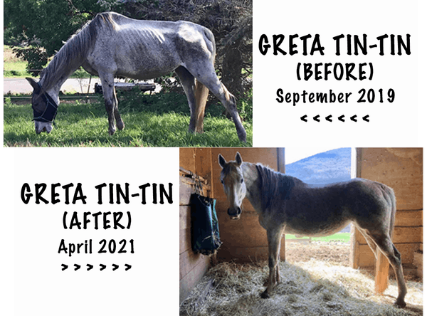 Rosemary Farm Sanctuary