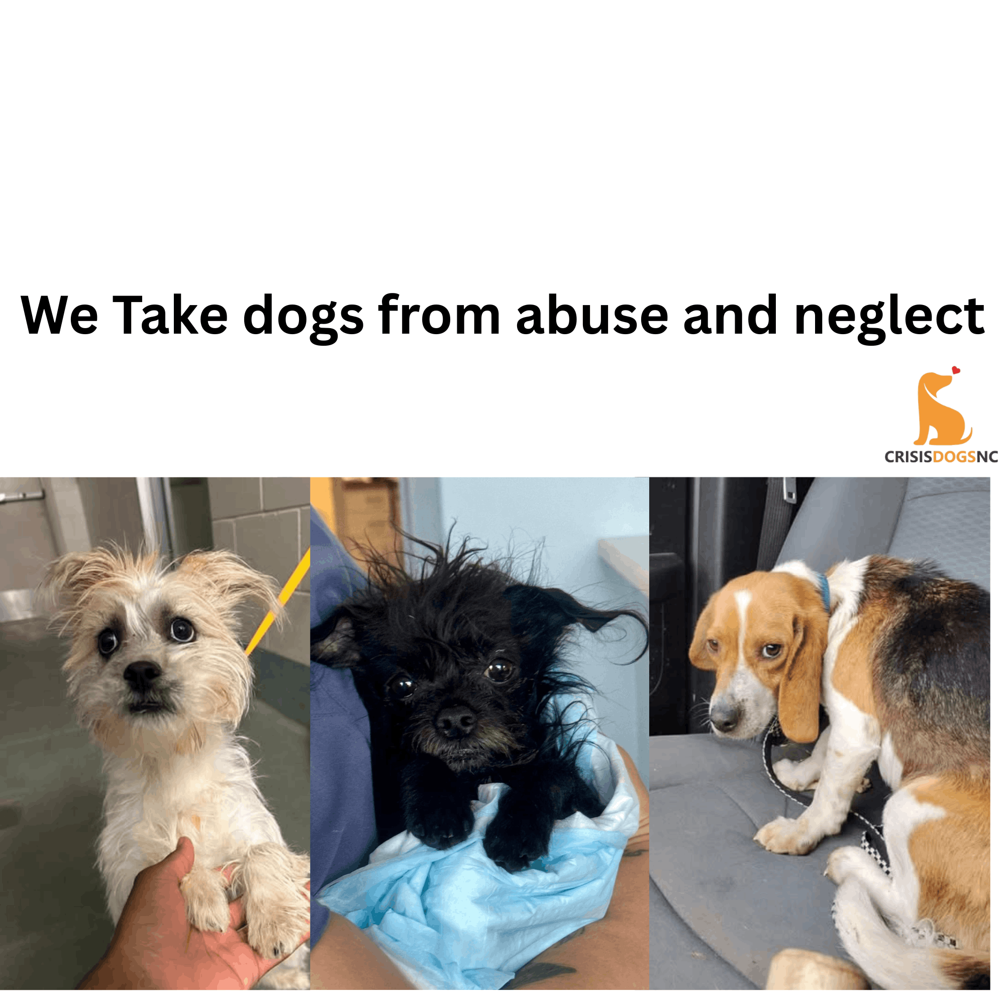 CrisisDogsNC
