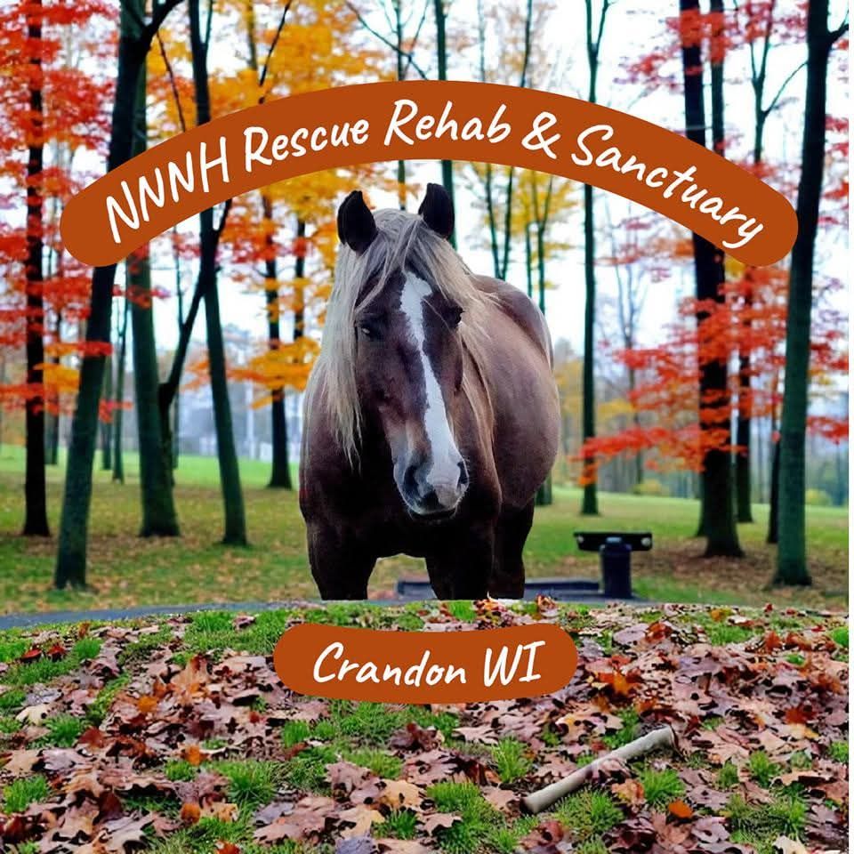 NNNH Rescue Rehab and Sanctuary
