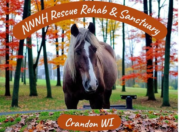 NNNH Rescue Rehab and Sanctuary