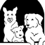 The Sanctuary for Senior Dogs