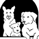 The Sanctuary for Senior Dogs