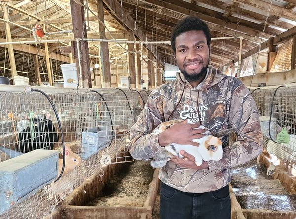 DG Educational Services, Inc