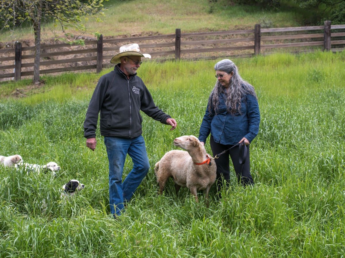 DG Educational Services, Inc