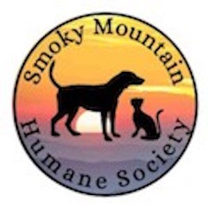 The Friends Animal Shelter
