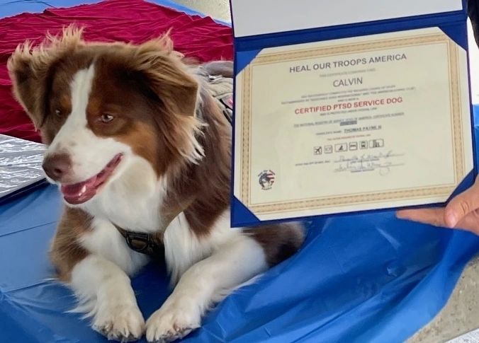 Heal Our Troops America