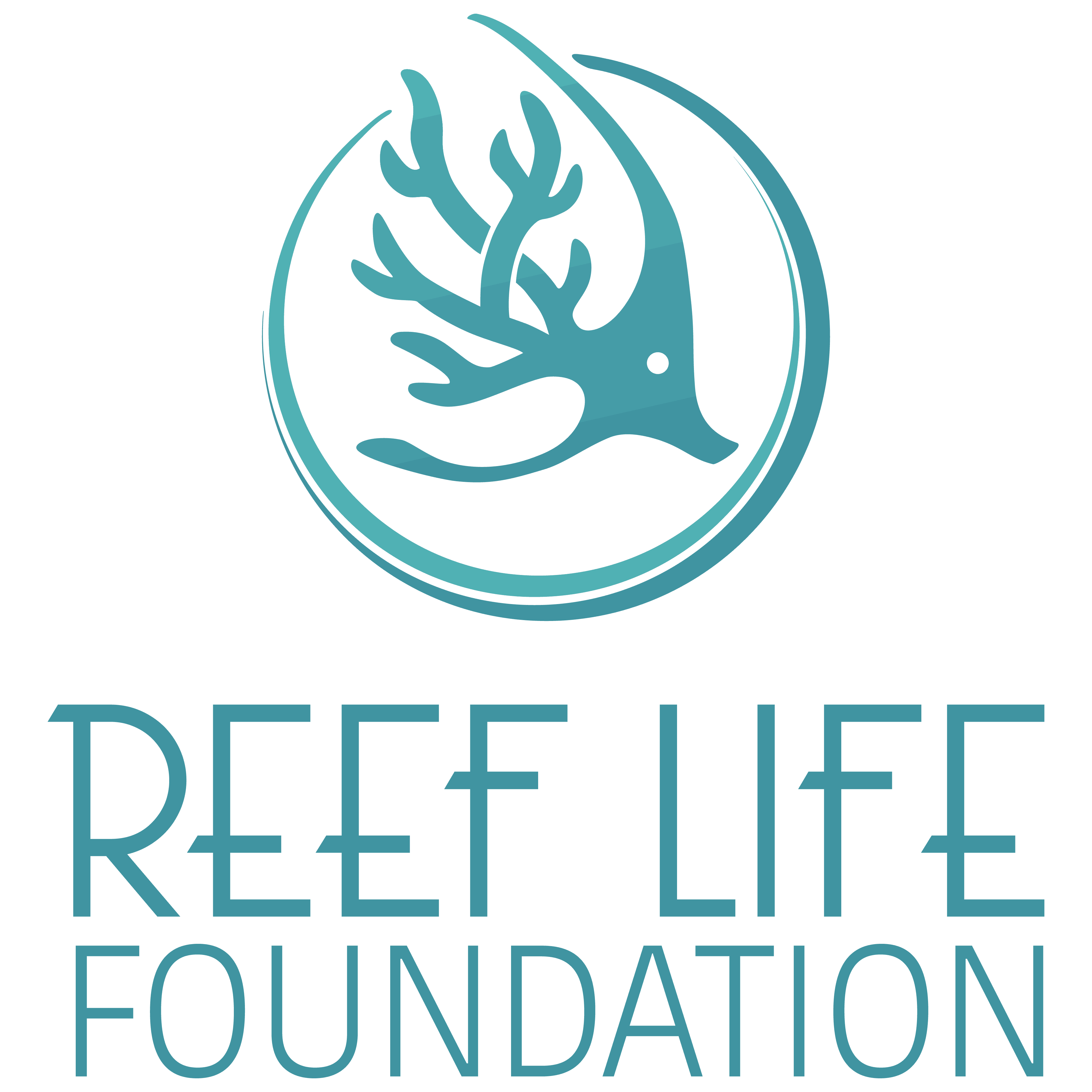 Reef Life Foundation