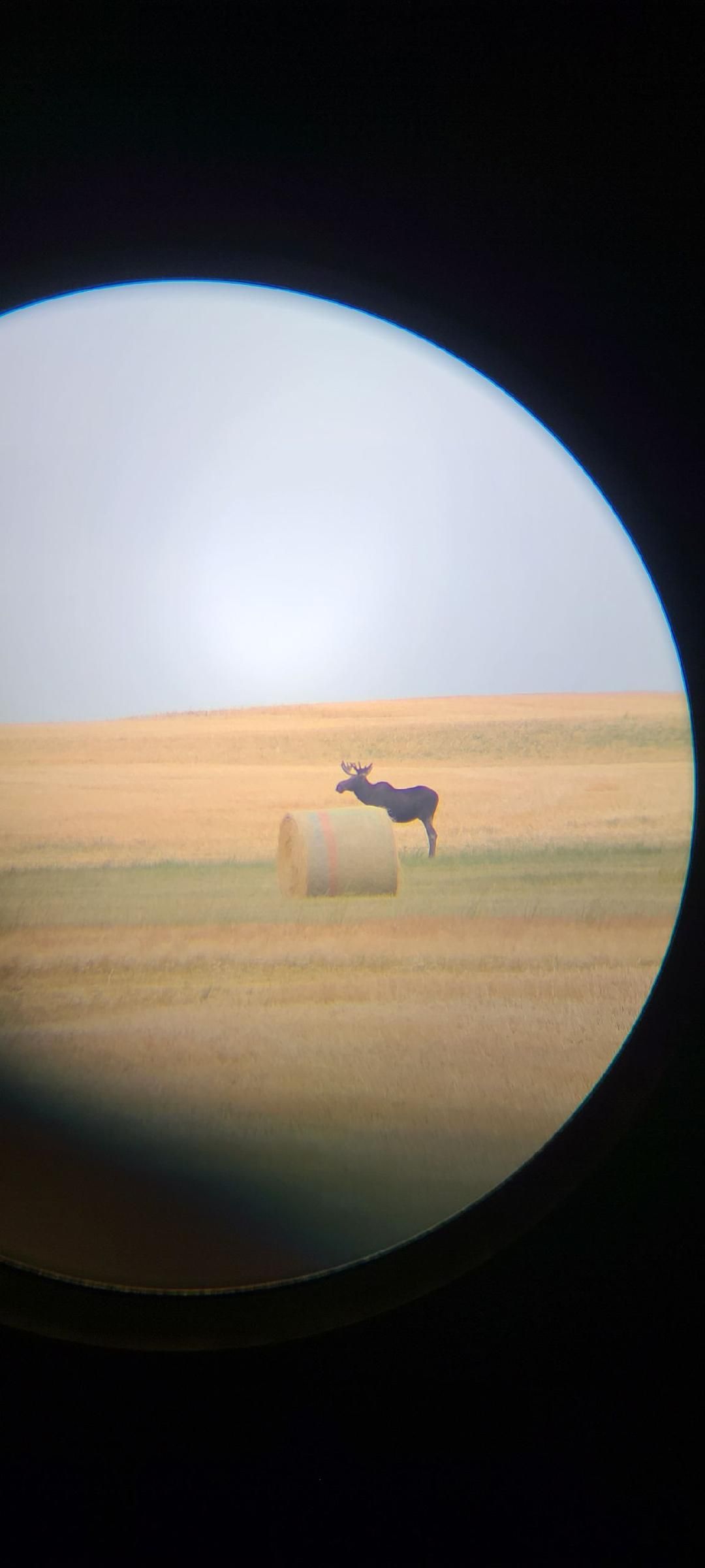 Resource Conservation Campaign