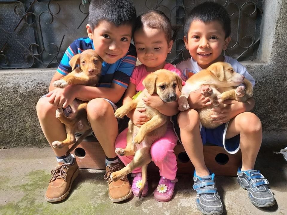 Integral Heart Foundation