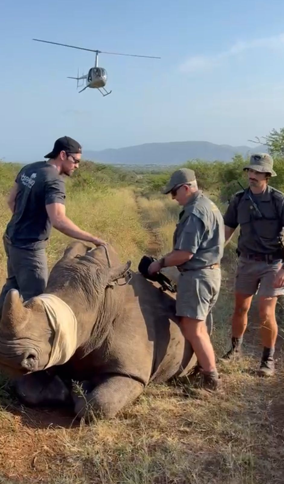 URhino Project/Upmost Foundation