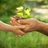 Senior Advocates for Generational Equity