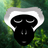 Friends of the Vervet Monkey Foundation