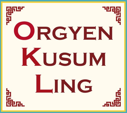 BLAZING WISDOM INSTITUTE