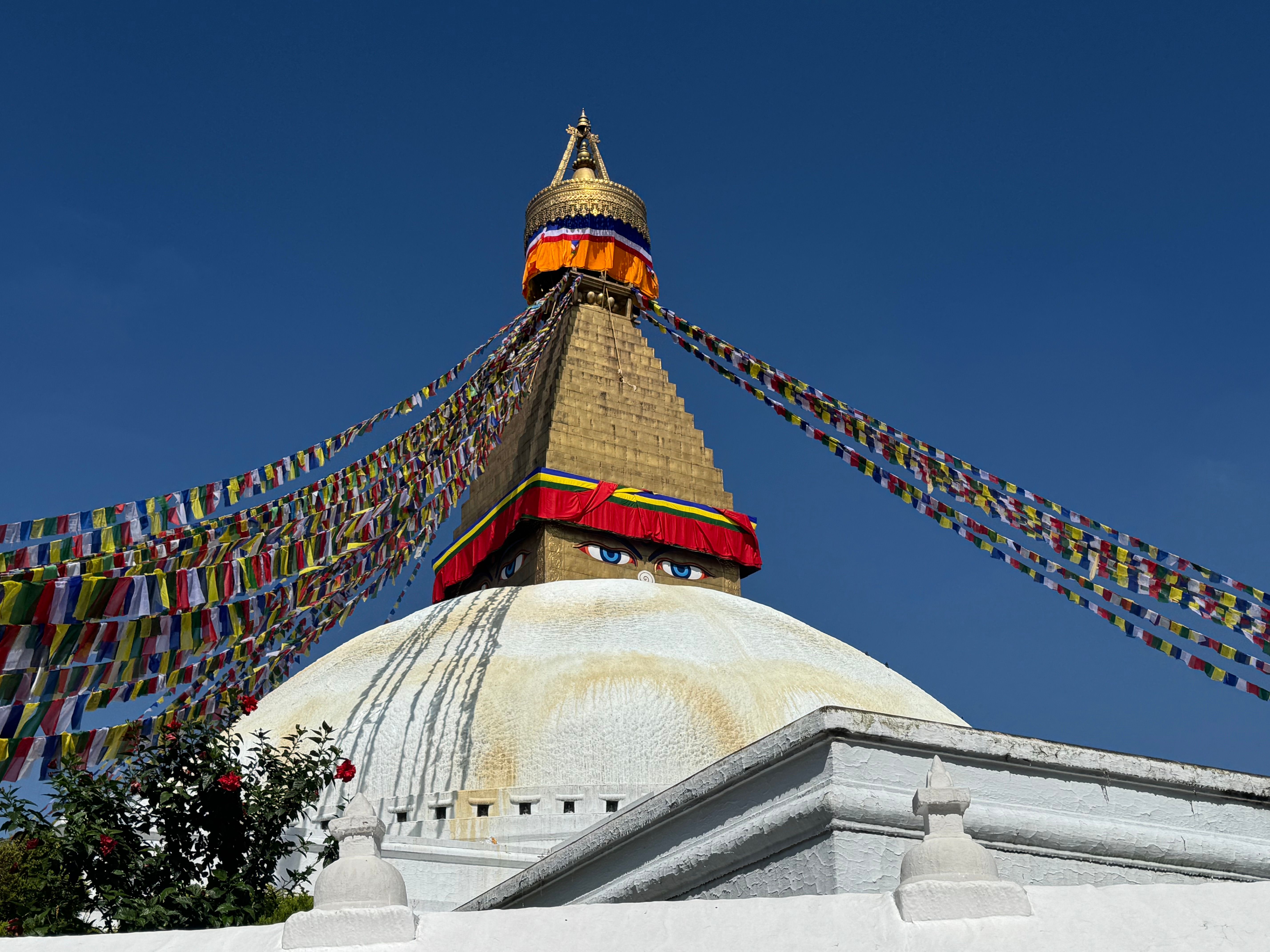 BLAZING WISDOM INSTITUTE