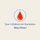 Type 1 Diabetes International Foundation