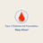 Type 1 Diabetes International Foundation