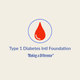 Type 1 Diabetes International Foundation