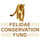 Felidae Conservation Fund