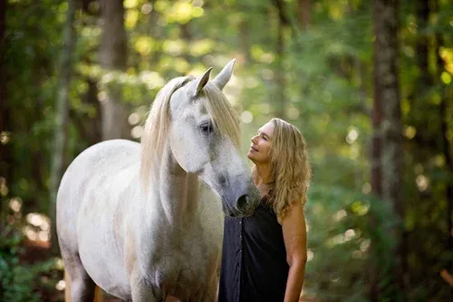 Lipizzan Rescue Foundation