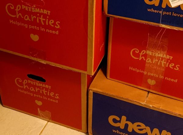 Gingers Pet Food Pantry