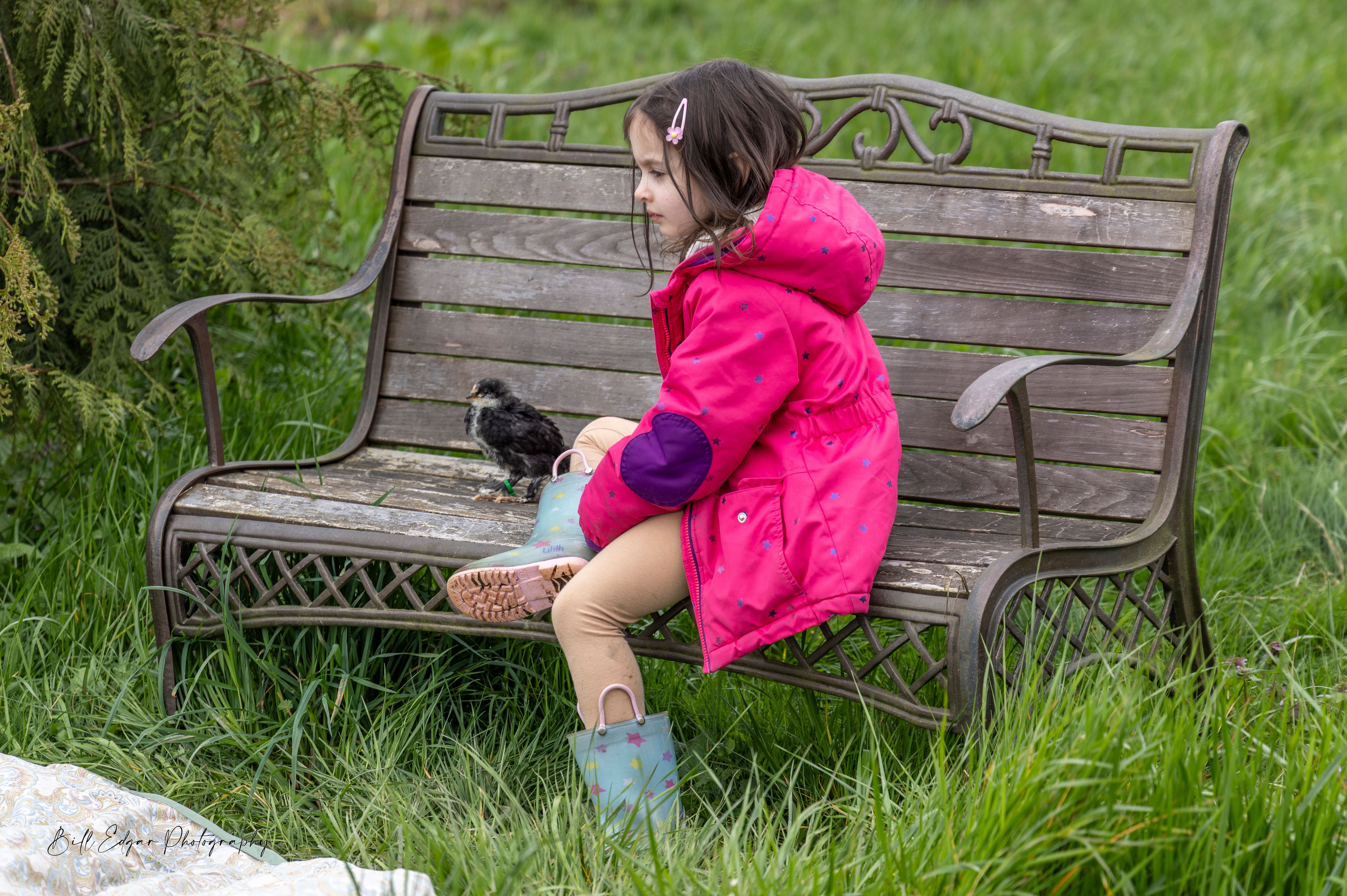 Foundation for Sustainable Community dba      Farmer Frog