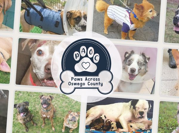 Paws Across Oswego County